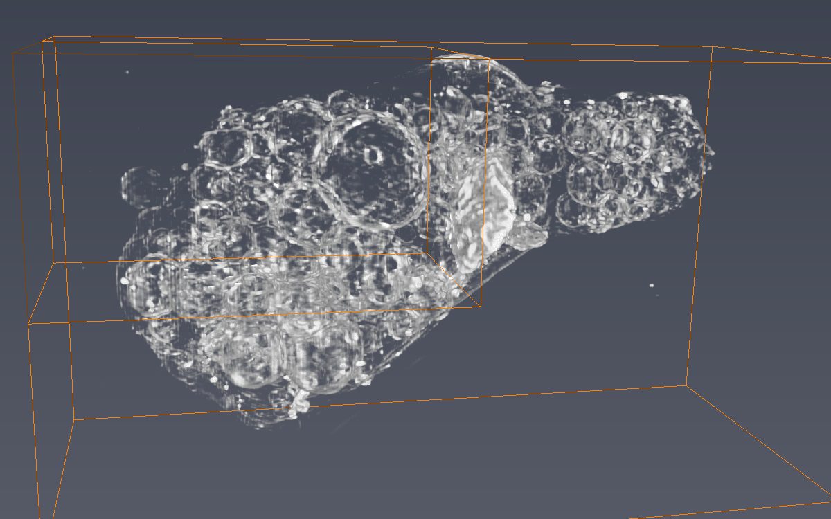 3d fukushima particle